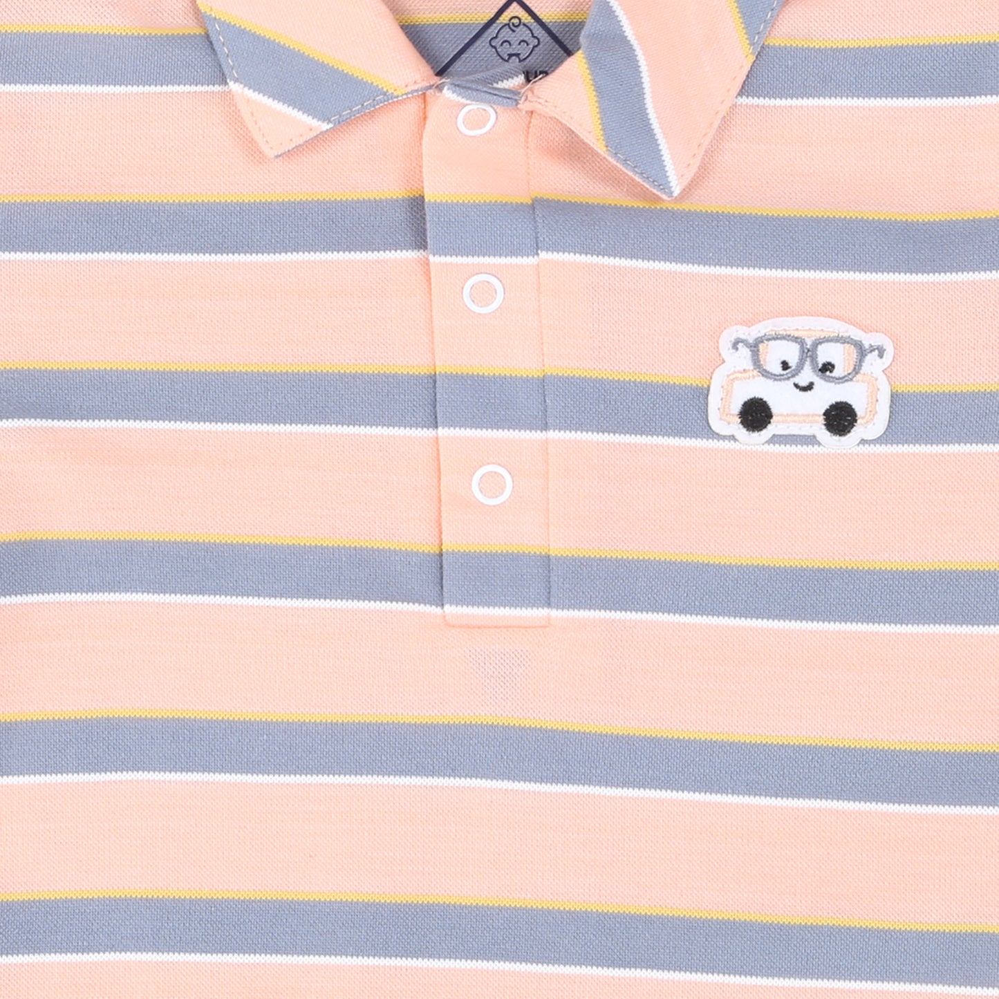 Tiny Stripes, Big Style: Polo Vibes for Little Explorers!