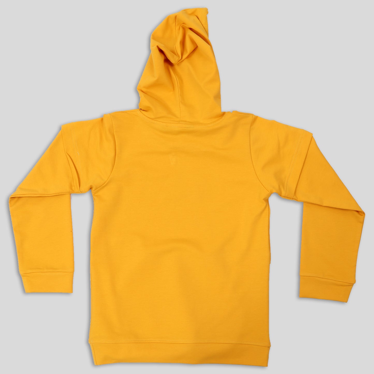 Stylish Hoodie T-shirt for Young boys
