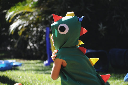 Jurassic Adventures: Dinosaur Theme Party Ideas & Outfits for Boys